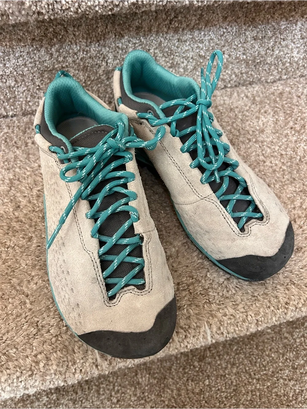 La Sportiva these shoes
